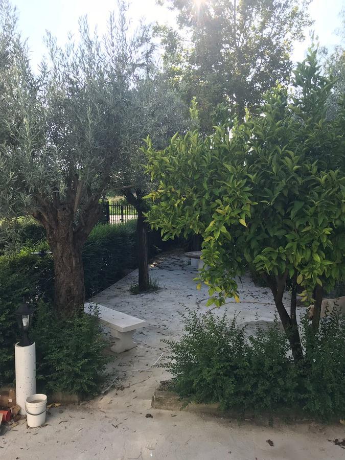 Le Donne Di Giannino Bed & Breakfast Rende Dış mekan fotoğraf