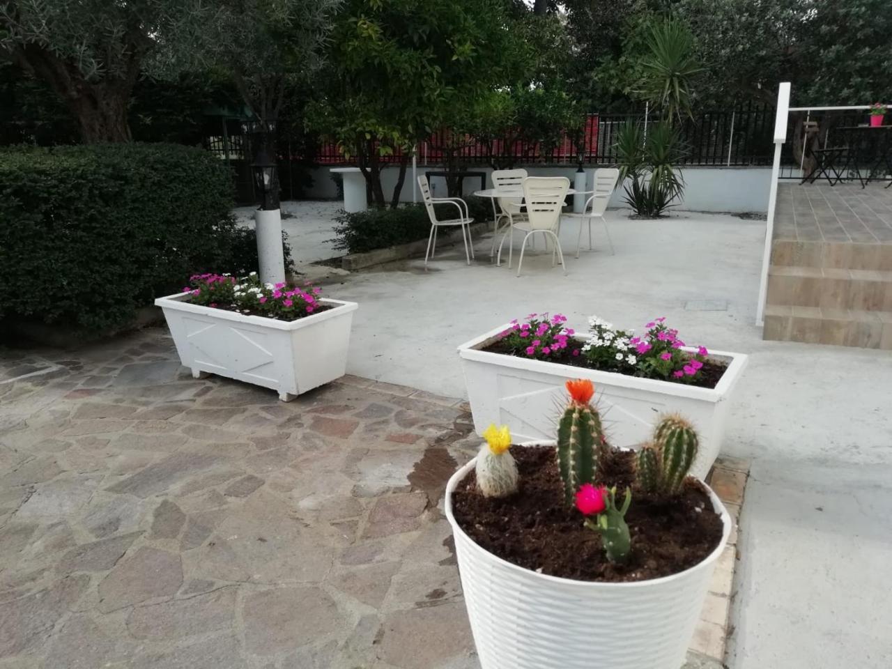Le Donne Di Giannino Bed & Breakfast Rende Dış mekan fotoğraf
